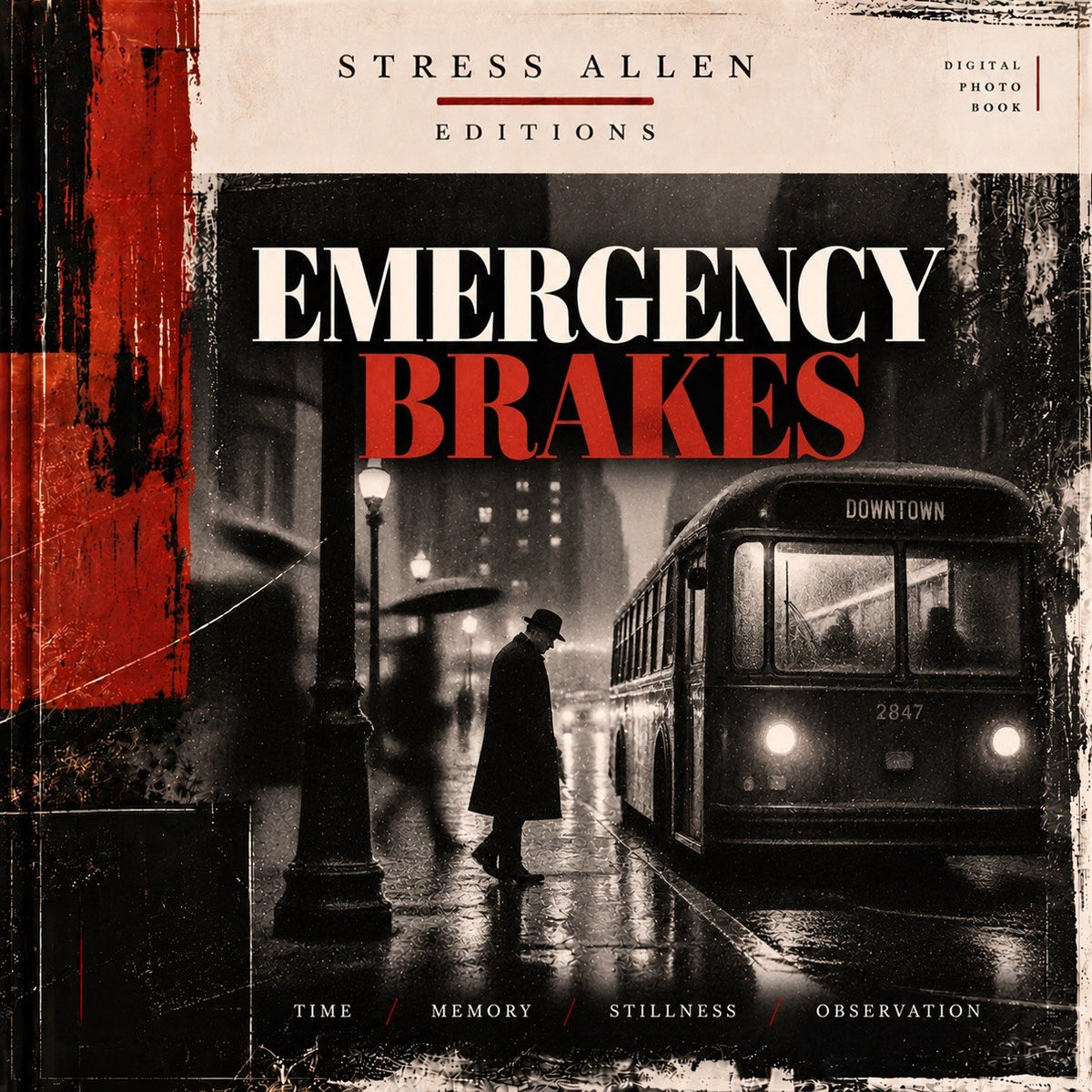 Emergency Brakes Zine - Digital